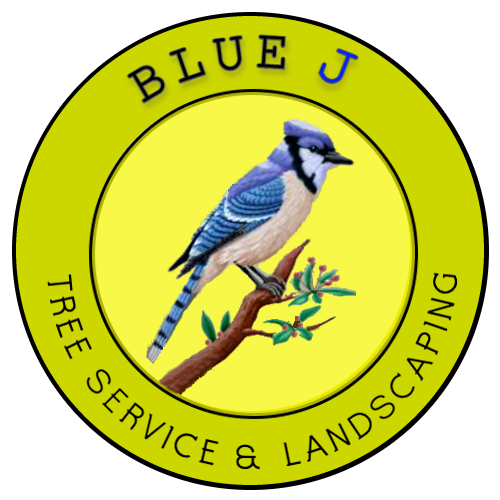Blue J Tree Service
