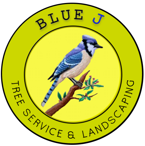 Blue J Tree Service